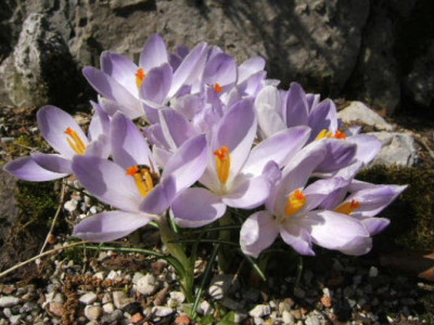 DSCF6834.JPG