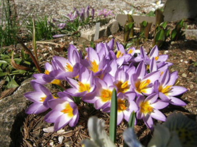 DSCF6826.JPG