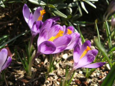DSCF6861.JPG