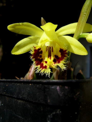 DSCF6935.JPG