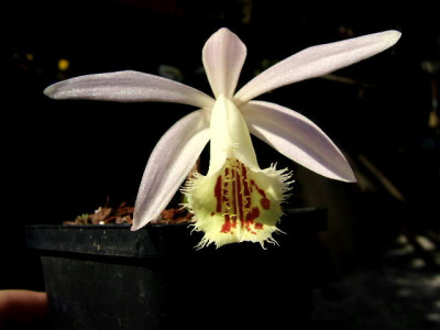DSCF6938.JPG