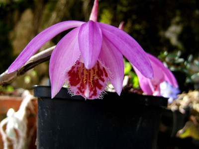 DSCF6941.JPG