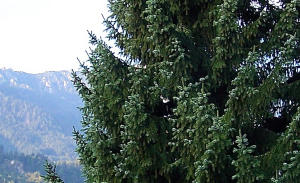 100_6320.JPG