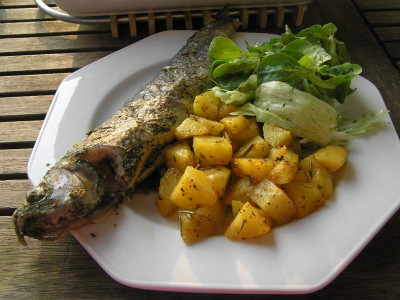 essen030409.jpg