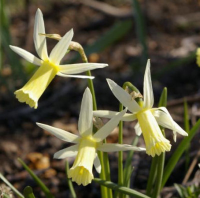 K800_03.04.2009_010.JPG