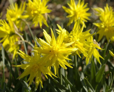 K800_03.04.2009_007.JPG