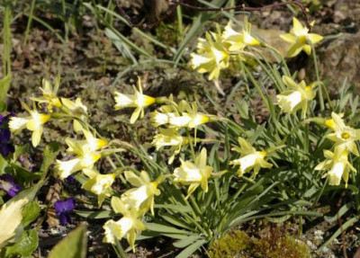 K800_03.04.2009_021.JPG