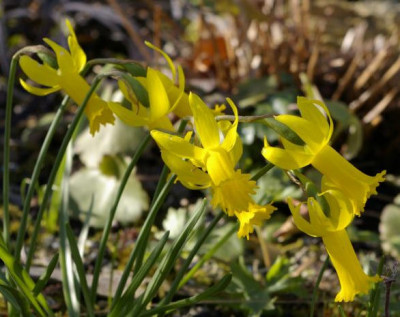 K800_03.04.2009_017.JPG