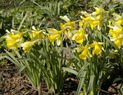 K800_03.04.2009_028.JPG