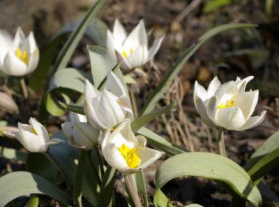 K800_03.04.2009_011.JPG