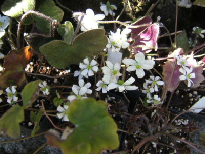DSCF6900.JPG