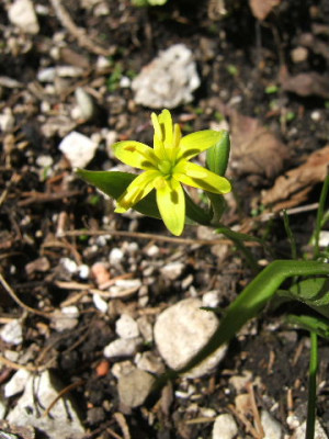DSCF6899.JPG