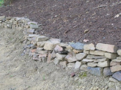 Waldrand4109_013.jpg