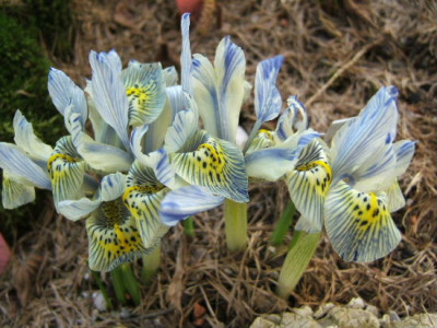 DSCF6907.JPG