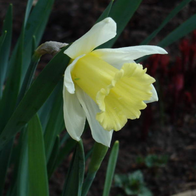 2009-04-04_08-35-14_-_DSC06798.jpg