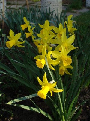 2009-04-04_08-33-10_-_DSC06789.JPG