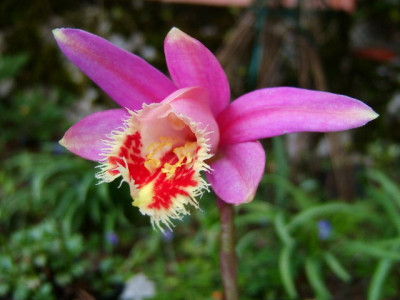 DSCF2365.JPG