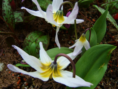 DSCF2328.JPG
