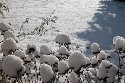 schneemuetz_gross.jpg