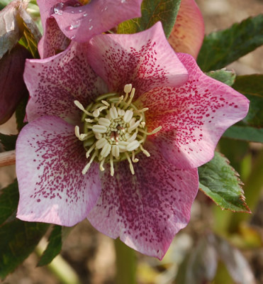 Aussen_Zweifarbig_0010__3405.jpg