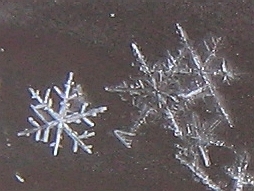 IMG_0254-Schneeflocke.JPG