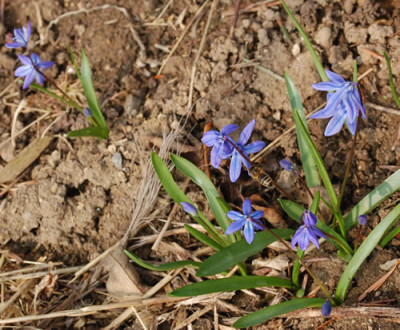 Blau_0010__3414.jpg