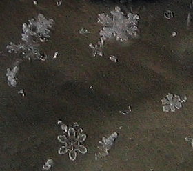 IMG_0276-Schneeflocken.JPG