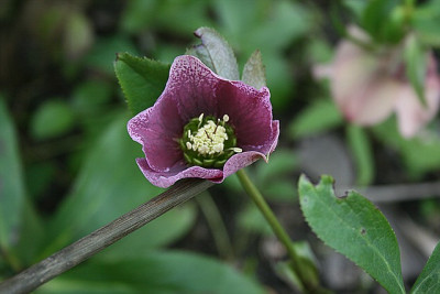 uFliversamte0002.jpg
