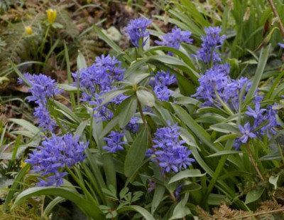 K800_05.04.2009_015.JPG
