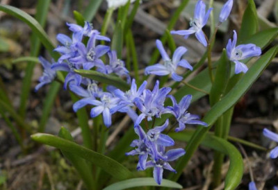 K800_05.04.2009_042.JPG