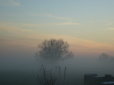 Ostfriesland8.jpg