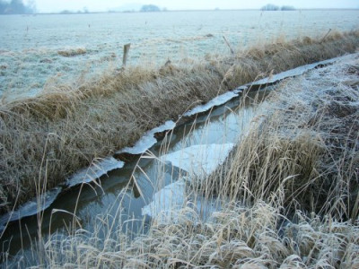 Ostfriesland3.jpg