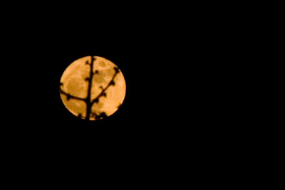 Vollmond-Apr0909.jpg
