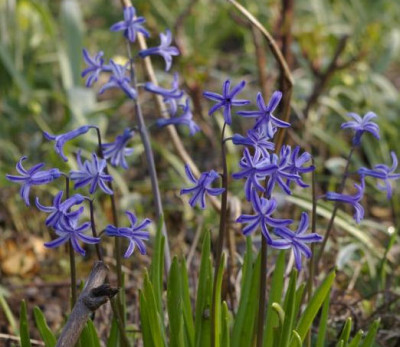 K800_08.04.2009_011.JPG