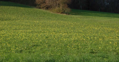 Schlusseli_0010__3519.jpg
