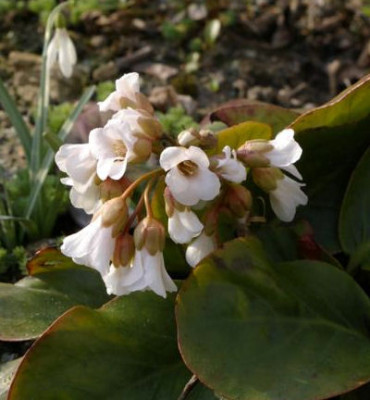 K800_08.04.2009_009.JPG