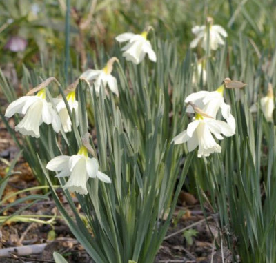 K800_08.04.2009_010.JPG