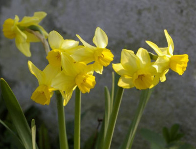 K800_08.04.2009_021.JPG