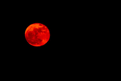 roter-Mond-Apr1009.jpg