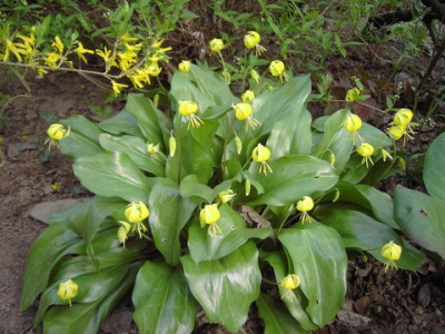 PICT2419.JPG