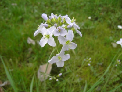 PICT2399.JPG