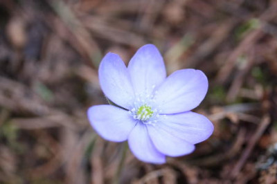 Kopie_von_2009_012.jpg