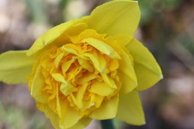Kopie_von_2009_020.jpg