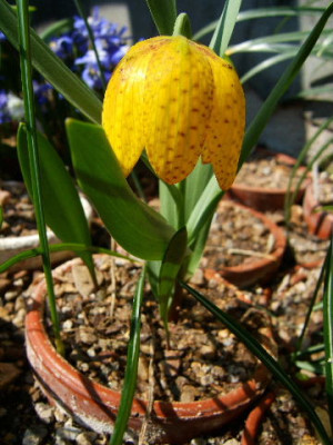 DSCF7173.JPG