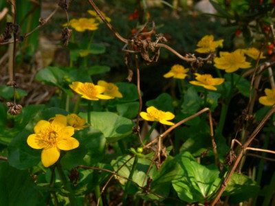 K640_P1070042.JPG