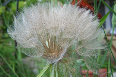 100_5704.JPG