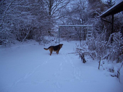 Nelly_Winter_Kopie.JPG