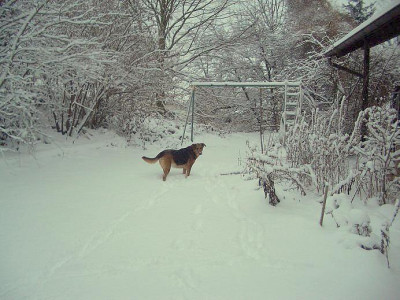 Nelly_Winter.jpg