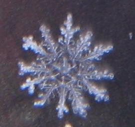IMG_0333-Schneeflocken12EckAusschnitt.JPG