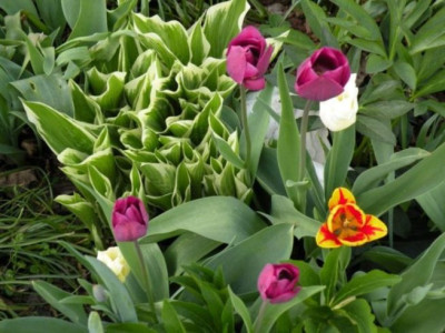 DSCN0506.JPG